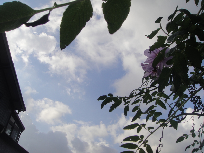 c0108460_15035182.jpg