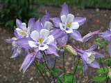 e0088260_22223325.jpg