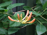 e0088260_2222511.jpg