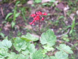 e0088260_22232187.jpg