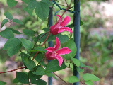 e0088260_22234795.jpg