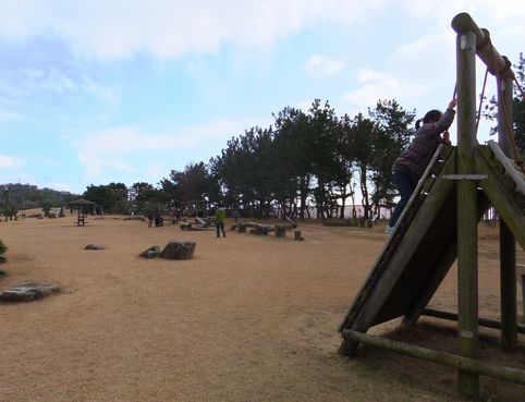 d0110262_2022453.jpg