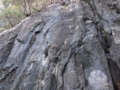 b0047265_199670.jpg