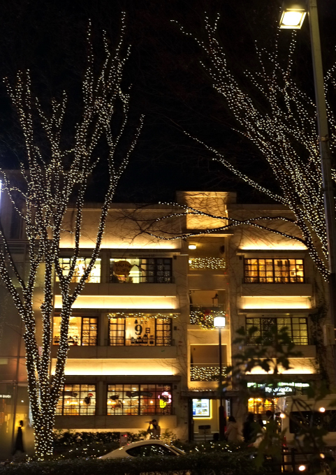 f0065768_231372.jpg