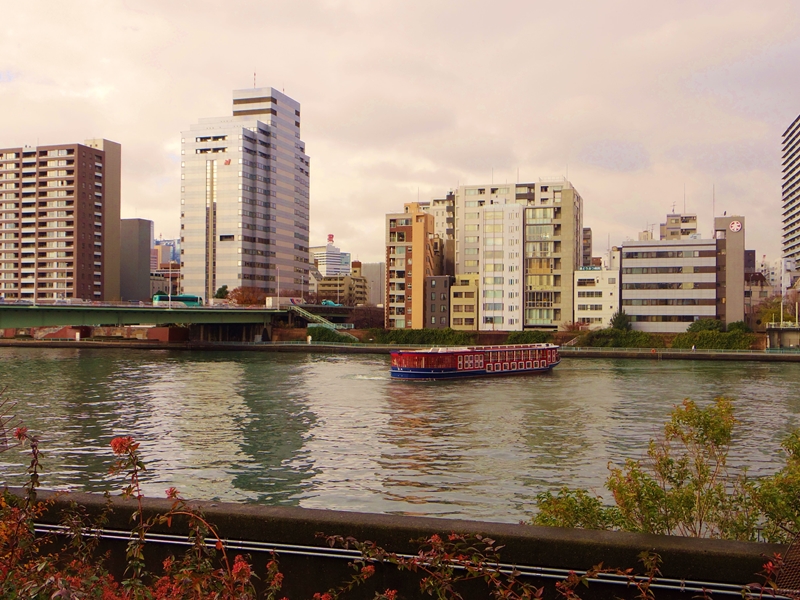 d0031171_8571591.jpg