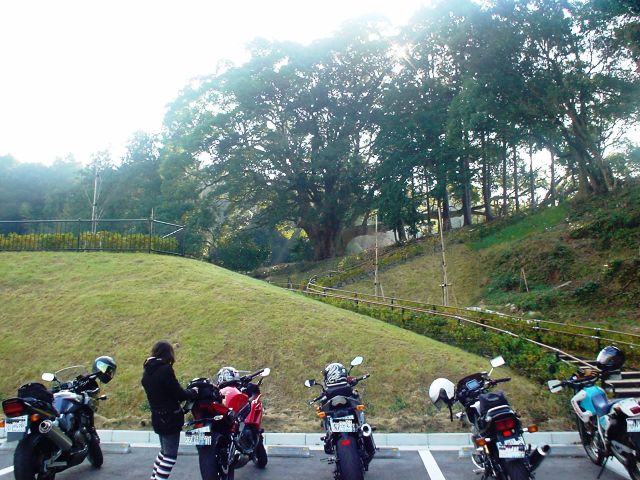 d0155582_2310642.jpg