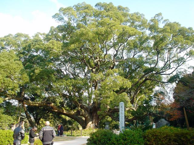 d0155582_23112225.jpg