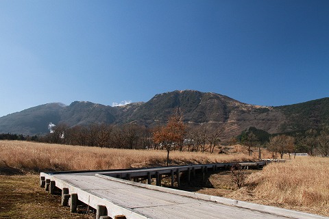 a0222494_2144359.jpg