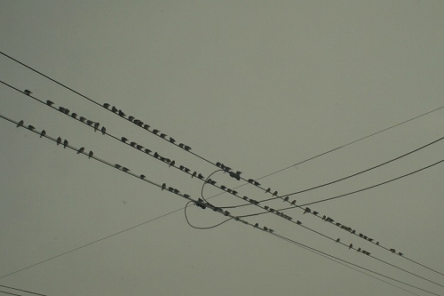 c0202705_15165128.jpg