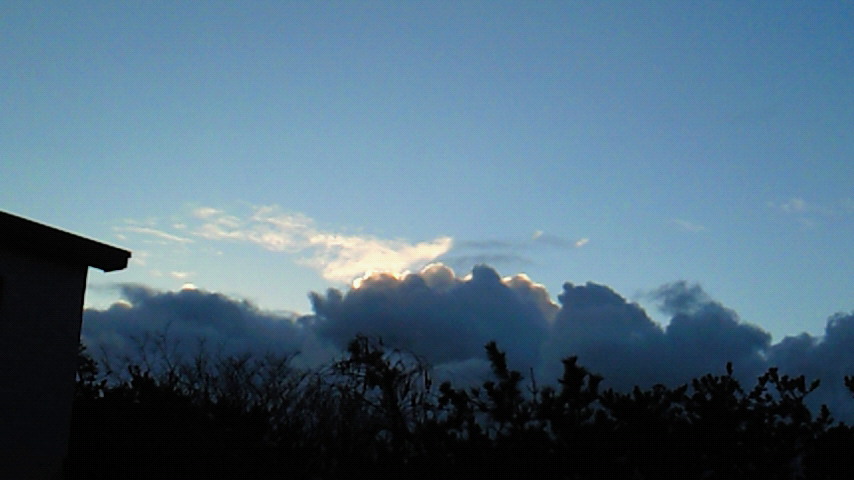 d0149105_742671.jpg