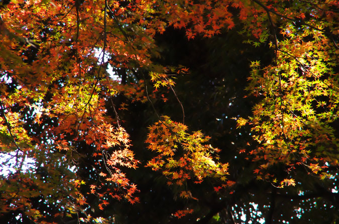 a0263109_10362292.jpg