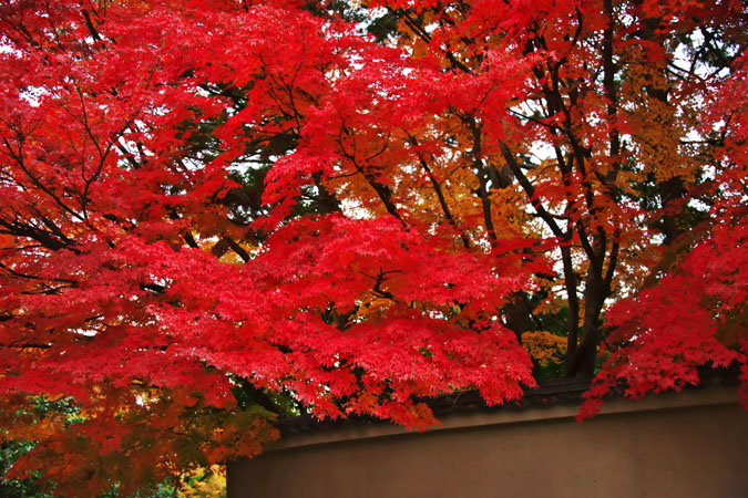 a0263109_17263490.jpg