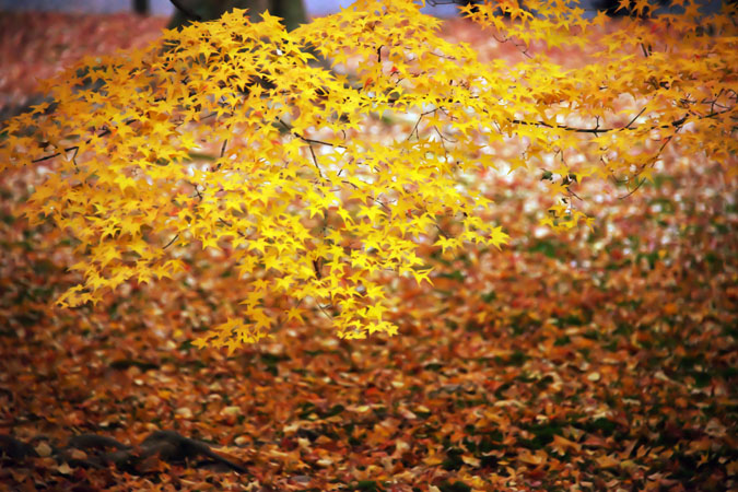 a0263109_17282497.jpg