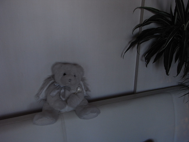 b0309813_7593070.jpg