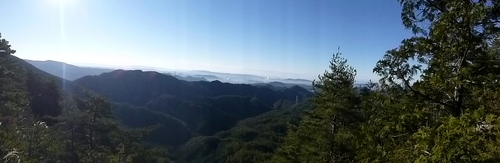 d0170615_1622212.jpg