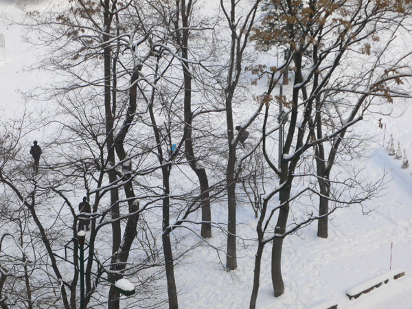 a0046429_22251170.jpg