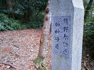 d0163834_16193047.jpg