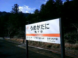 d0163834_1672880.jpg