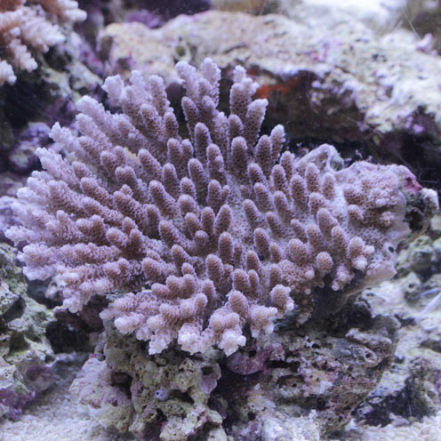 d0221436_2152917.jpg
