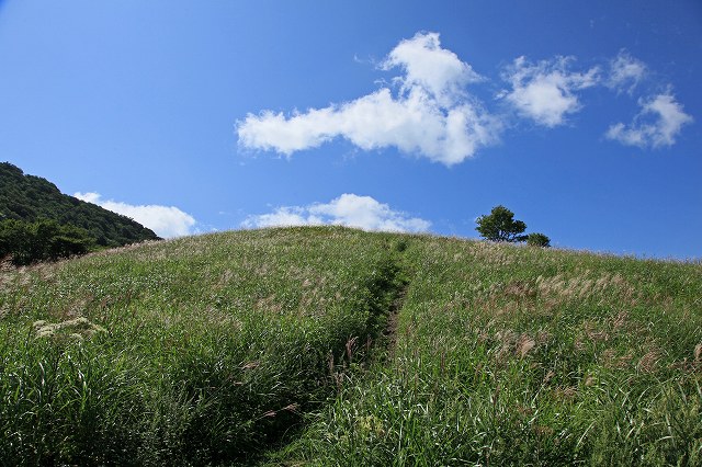 a0242438_1844125.jpg