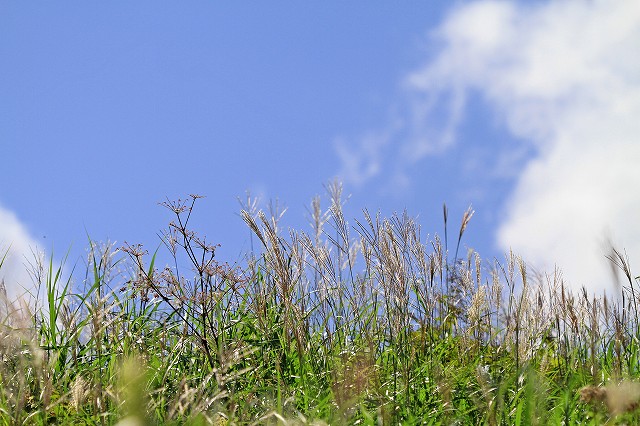 a0242438_1844835.jpg