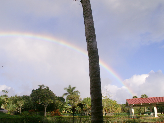 b0139239_1757222.jpg