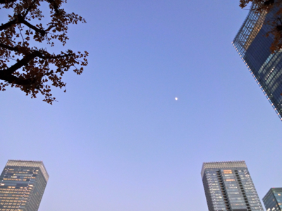 f0141840_23313353.jpg
