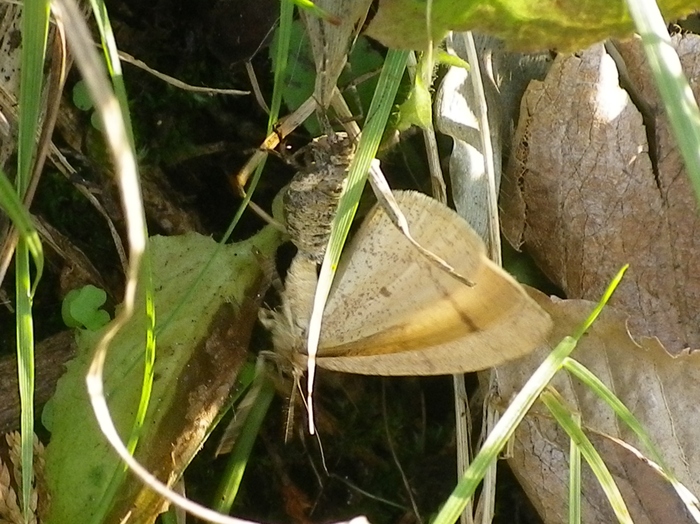 f0000148_18102428.jpg
