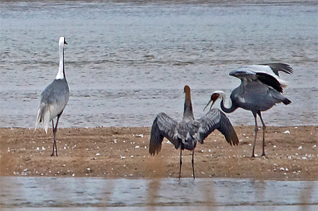 f0214649_1015158.jpg