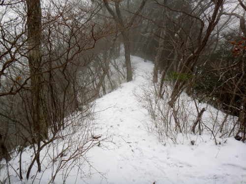 c0179351_16272843.jpg