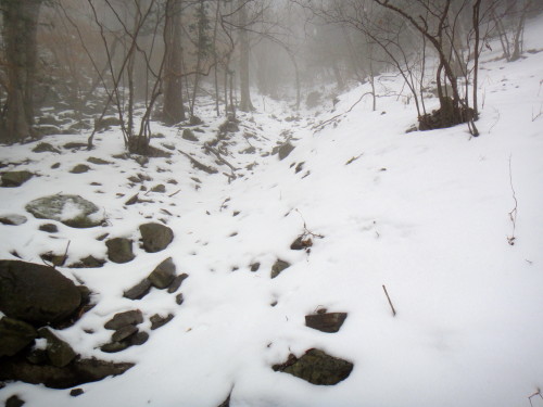 c0179351_1630229.jpg