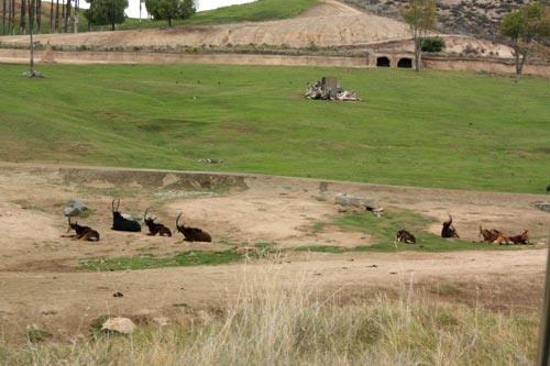 c0308559_1341892.jpg