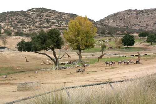 c0308559_1343626.jpg