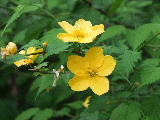 e0088260_1936969.jpg