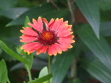e0088260_19404940.jpg