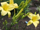 e0088260_19424451.jpg