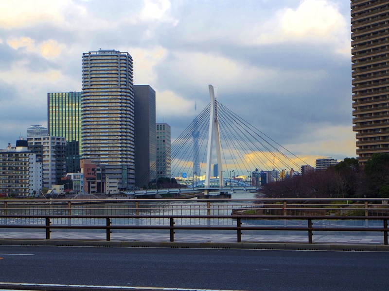 d0031171_8414737.jpg