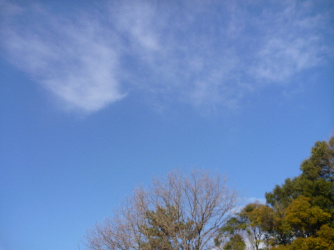 e0161972_154311.jpg