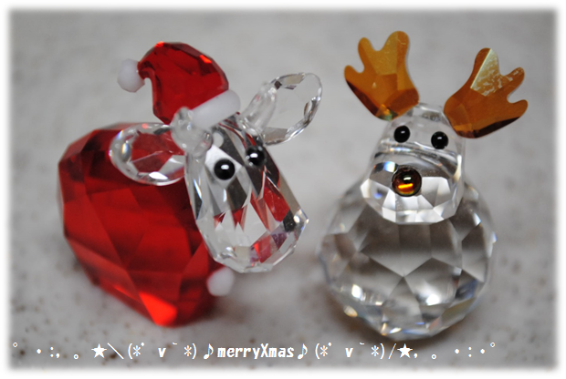b0242873_1574443.png