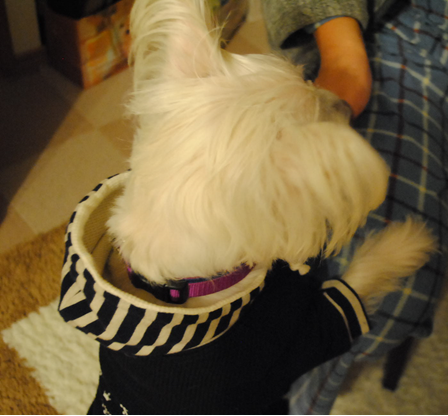 b0242873_2123171.png