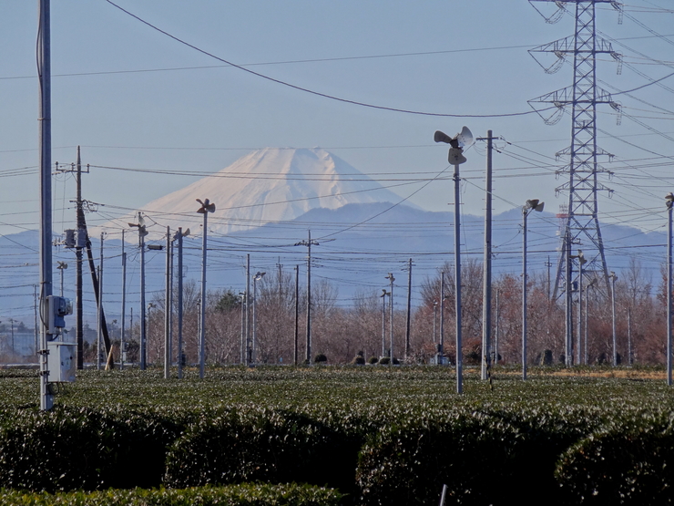 d0225575_1785560.jpg