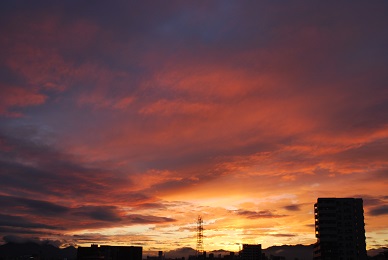 a0133886_110229.jpg