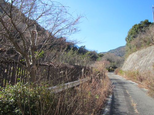 a0251786_19392826.jpg