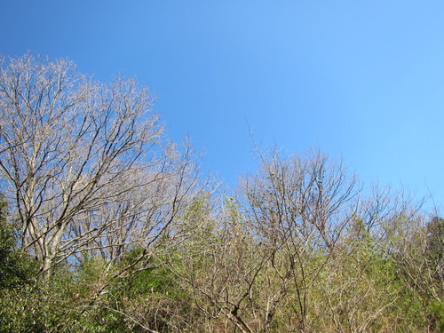 a0251786_19395335.jpg