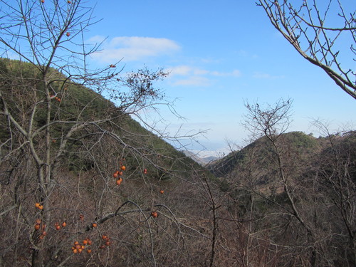 a0251786_19405039.jpg