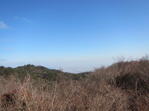 a0251786_19422187.jpg