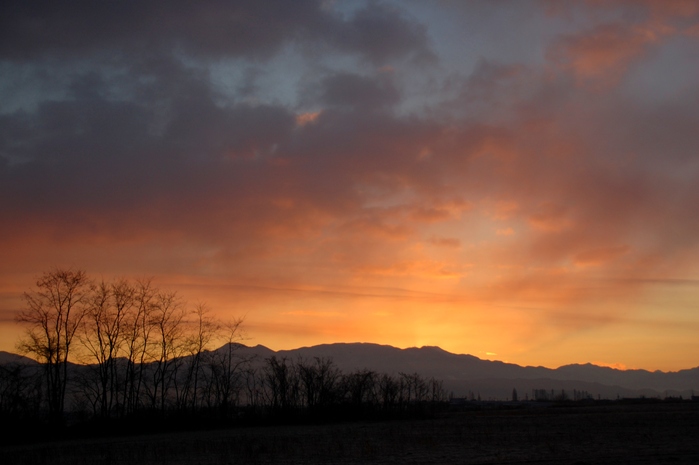 c0246290_0143740.jpg