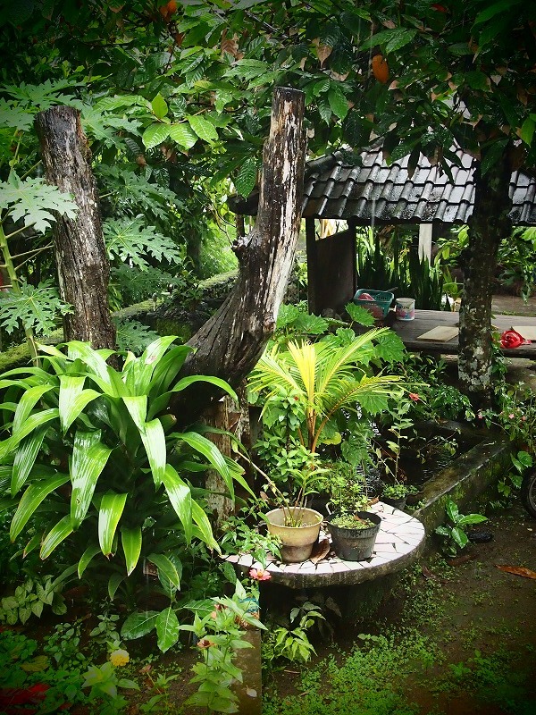 b0161391_902323.jpg