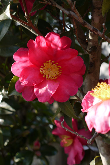 f0222692_2053666.jpg