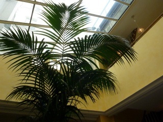 c0077697_157676.jpg